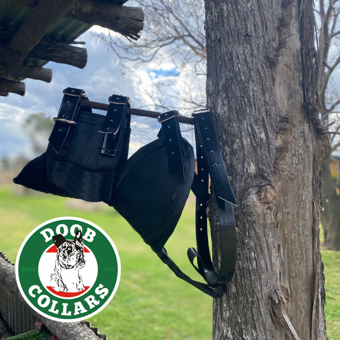 Doob - 3/4 plate open neck