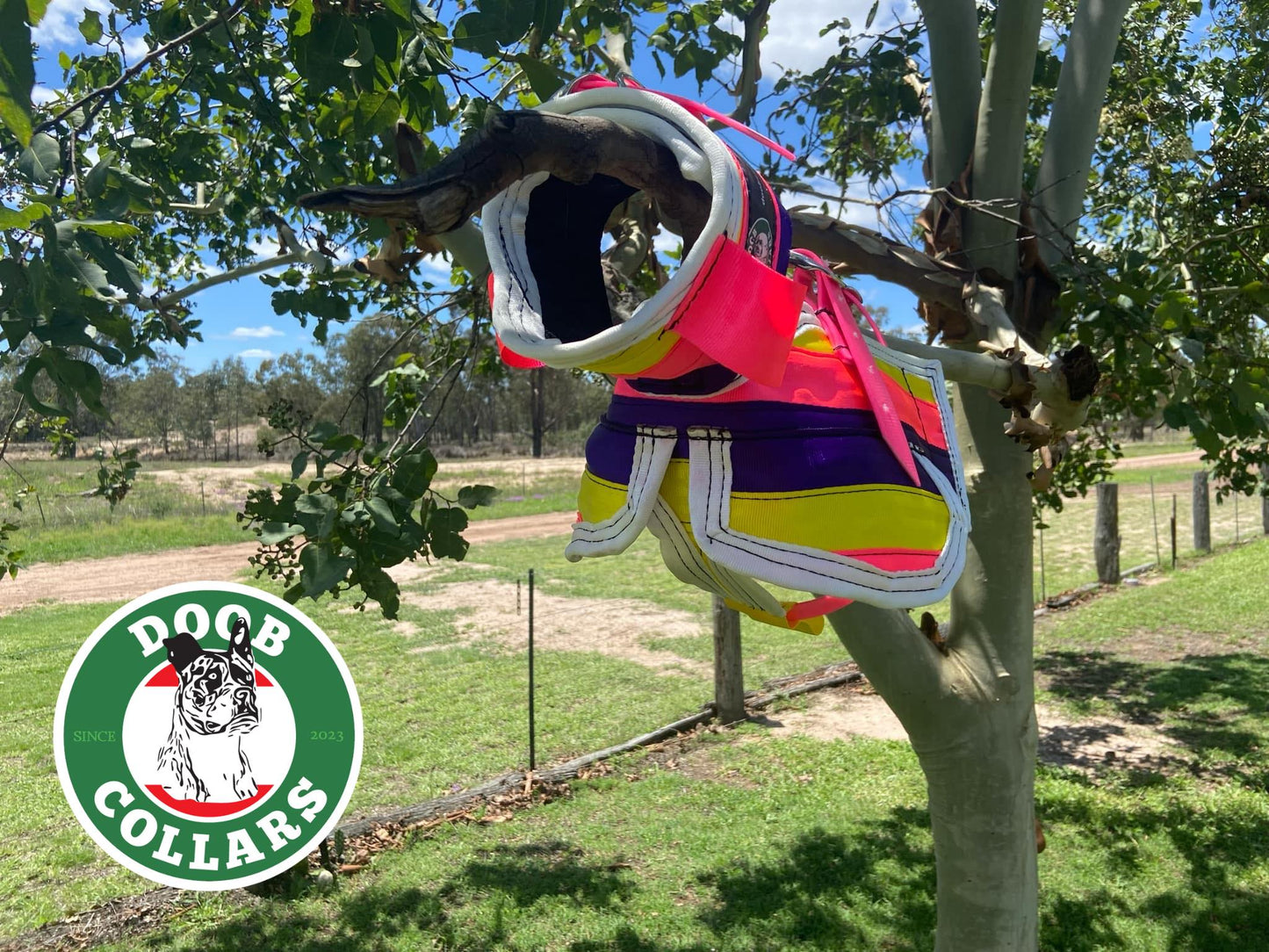 'Gas' - full breastplate