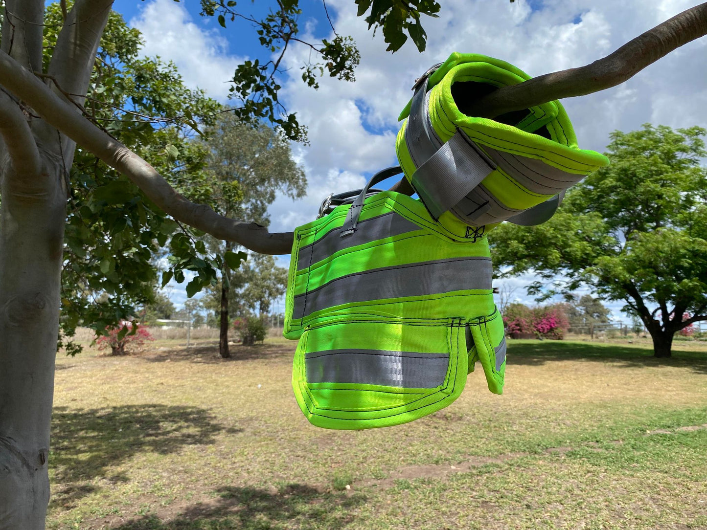 'Gas' - full breastplate