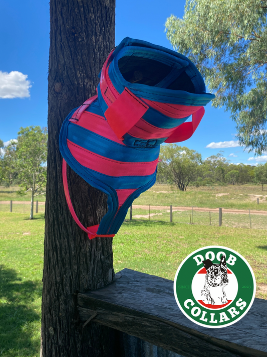 ‘Doob' - 3/4 plate - pink/blue