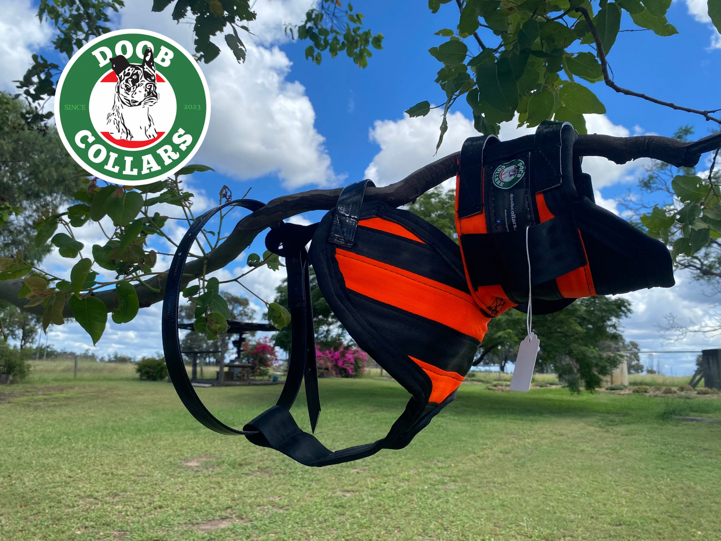 Doob - 3/4 plate open neck