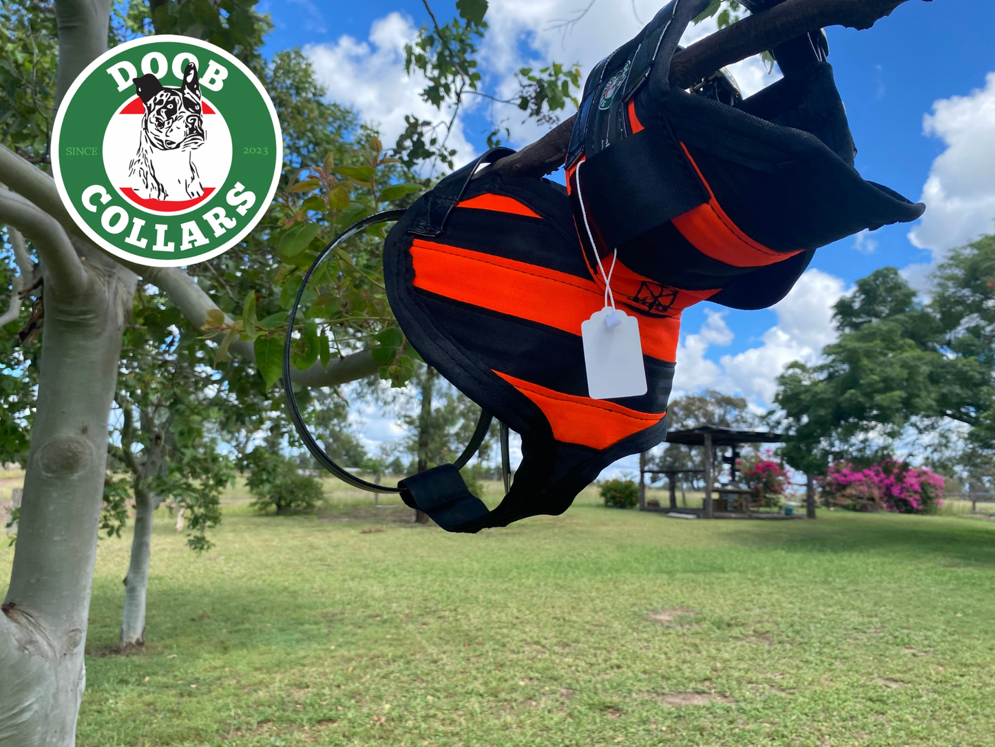 Doob - 3/4 plate open neck