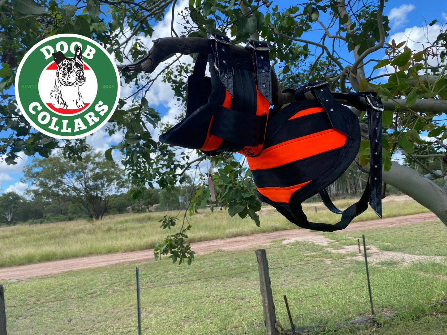 Doob - 3/4 plate open neck