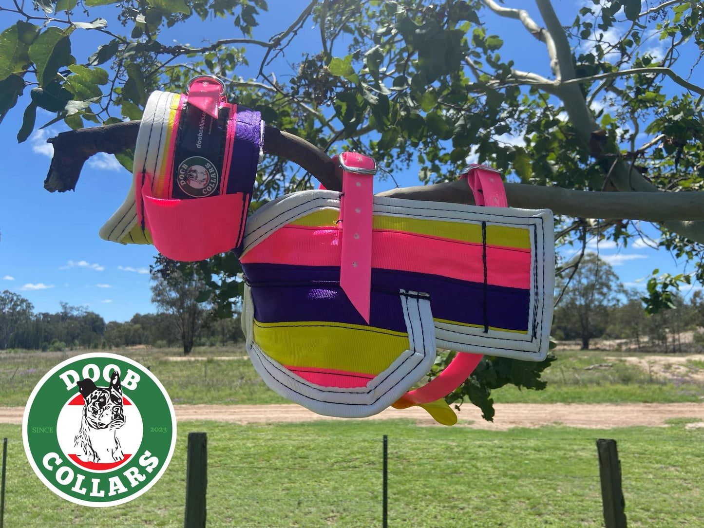 'Gas' - full breastplate