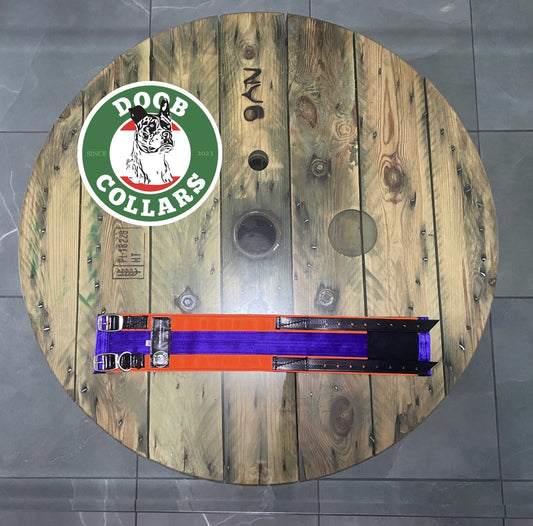 ‘Rocket' S/M neck collar - fluro orange/purple